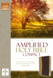 Amplified Holy Bible/Compact (Revised)-Camel/Burgundy DuoTone | SHOPtheWORD