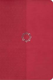 NKJV Essential Teen Study Bible-Rose LeatherSoft (Not Available-Out Of Print) | SHOPtheWORD