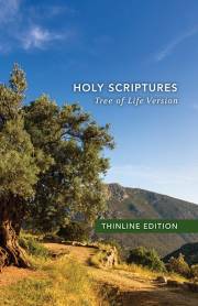 TLV Thinline Bible, Holy Scriptures-Hardcover | SHOPtheWORD