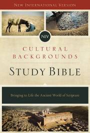 NIV Cultural Backgrounds Study Bible-Hardcover w/Jacket | SHOPtheWORD