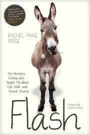 Flash: The Homeless Donkey Who Taught Me About Life, Faith, And Second Chances by Rachel Anne Ridge | SHOPtheWORD