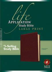 NLT Life Application Study Bible/Large Print-Brown LeatherLike | SHOPtheWORD