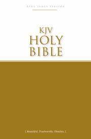KJV Economy Bible-Softcover | SHOPtheWORD