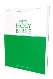 NIrV Economy Bible-Softcover | SHOPtheWORD