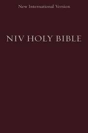 NIV Compact Bible-Burgundy Softcover | SHOPtheWORD
