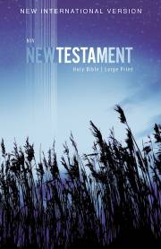 NIV Outreach New Testament/Large Print-Blue Wheat Softcover | SHOPtheWORD