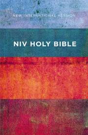 NIV Value Outreach Bible-Red/Blue Stripes Softcover | SHOPtheWORD