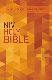 NIV Value Outreach Bible-Cross Softcover | SHOPtheWORD