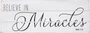 Plaque-Believe In Miracles/Rustic Treasures (Wall Or Table) (8.5 x 3.25) | SHOPtheWORD