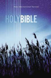 NIV Value Outreach Bible-Blue Wheat Softcover | SHOPtheWORD
