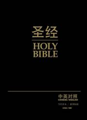 CCB/NIV Chinese & English Bilingual Bible-Hardcover | SHOPtheWORD