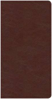 CSB Share Jesus Without Fear New Testament-Brown LeatherTouch | SHOPtheWORD