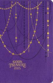 NIV God's Treasure Holy Bible-Amethyst Leathersoft | SHOPtheWORD