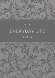 Amplified The Everyday Life Bible-Gray Euroluxe | SHOPtheWORD