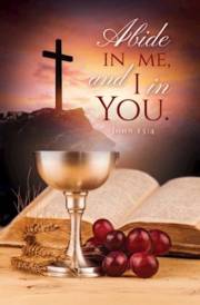Bulletin-Abide In Me And I In You (John 15:4, KJV) (Pack Of 100) | SHOPtheWORD
