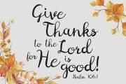 Cards-Pass It On-Give Thanks To The Lord (3" x 2") (Pack Of 25) | SHOPtheWORD