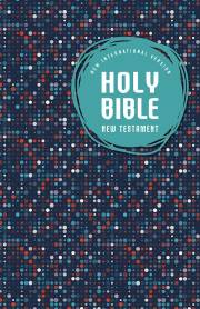 NIV Outreach New Testament For Kids-Softcover | SHOPtheWORD
