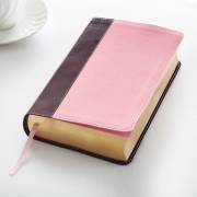 KJV Giant Print Bible-Dark Brown/Pink LuxLeather | SHOPtheWORD