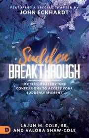 Sudden Breakthrough by Lajun Cole | SHOPtheWORD