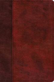 ESV Journaling New Testament-Inductive Edition-Burgundy/Red Timeless Design TruTone (Not Available-Out Of Print) | SHOPtheWORD