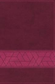 NIV Storyline Bible (Comfort Print)-Pink Leathersoft Indexed | SHOPtheWORD