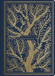 ESV Illuminated Scripture Journal: Romans-Blue Softcover | SHOPtheWORD