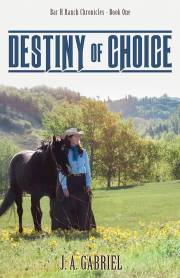 Destiny of Choice by J.A. Gabriel | SHOPtheWORD