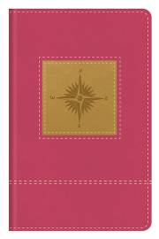 KJV Go-Anywhere Study Bible-Primrose Compass Softcover | SHOPtheWORD