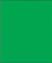 Multi Event Crepe Paper-Dark Green (Pack Of 10) | SHOPtheWORD