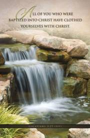 Bulletin-Baptized Into Christ (Galatians 3:27, NIV) (Pack Of 100) | SHOPtheWORD