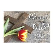Cards-Pass It On-Christ Is Risen/Tulip (3" x 2") (Pack Of 25) | SHOPtheWORD
