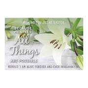 Cards-Pass It On-All Things Are Possible (White Lily) (3" x 2") (Pack Of 25) | SHOPtheWORD