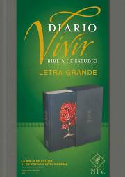 Span-NTV Life Application Study/Large Print (Biblia de Estudio Del Diario Vivir, Letra Grande)-Gray Hardcover | SHOPtheWORD