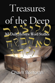 Treasures Of The Deep by Chaim Bentorah | SHOPtheWORD