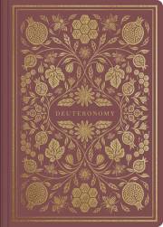 ESV Illuminated Scripture Journal: Deuteronomy-Maroon Softcover | SHOPtheWORD