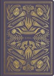 ESV Illuminated Scripture Journal: Ezra-Blue Softcover | SHOPtheWORD