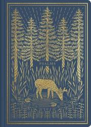 ESV Illuminated Scripture Journal: Psalms-Blue Softcover | SHOPtheWORD