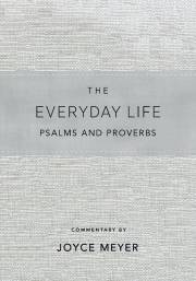 Amplified The Everyday Life Psalms And Proverbs-Blue Imitation Leather | SHOPtheWORD
