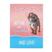 Pocket Notepad-Better With Sprinkles (3" x 3.85") | SHOPtheWORD