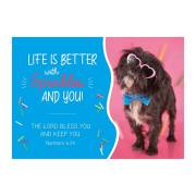 Postcard-Life Is Better With Sprinkles (6" x 4.25") (Pack Of 6) | SHOPtheWORD