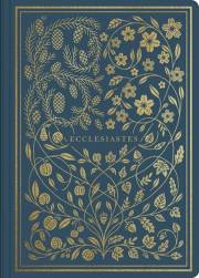 ESV Illuminated Scripture Journal: Ecclesiastes-Blue Softcover | SHOPtheWORD