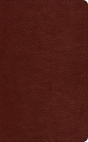 ESV Pocket Bible-Chestnut TruTone | SHOPtheWORD