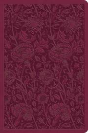 ESV Value Compact Bible-Raspberry Floral Design TruTone | SHOPtheWORD