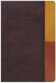 Span-RVR 1960 Rainbow Study Bible (Biblia de Estudio Arco Iris)-Cocoa/Terracota LeatherTouch | SHOPtheWORD