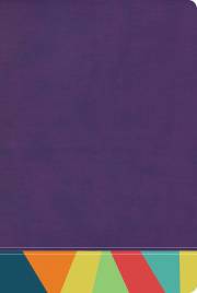 Span-RVR 1960 Rainbow Study Bible (Biblia de Estudio Acro Iris)-Purple/Multicolor Imitation Leather | SHOPtheWORD