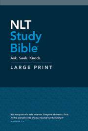 NLT Study Bible/Large Print-Hardcover | SHOPtheWORD