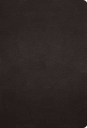 ESV Large Print Compact Bible-Deep Brown Buffalo Leather | SHOPtheWORD