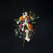 Audio CD-Graves Into Gardens | SHOPtheWORD