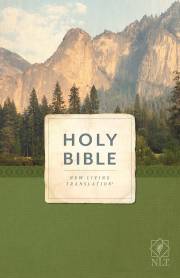 NLT Economy Outreach Bible-Softcover | SHOPtheWORD