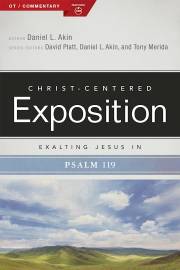 Exalting Jesus In Psalms 119 (Christ-Centered Exposition Commentary) by Daniel Akin | SHOPtheWORD